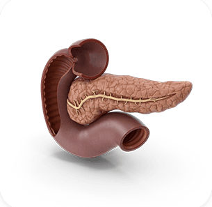 Thyroid